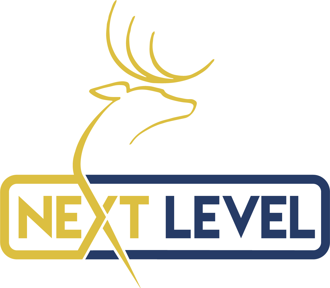NextLevel Logo FullColor